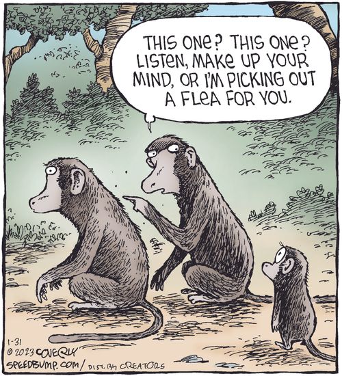 "This one? This one? Listen, make up your mind, or I;m picking out a flea for you."