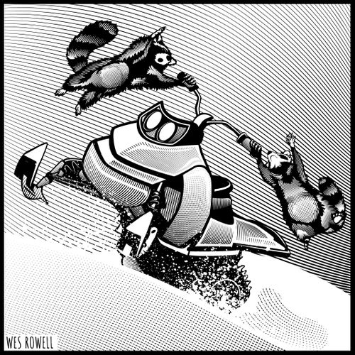 Raccoons on the Snowmobile