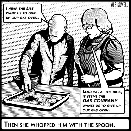 "I hear the libs want us to give up our gas oven."