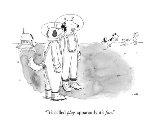 "It's called play, apparently it's fun."