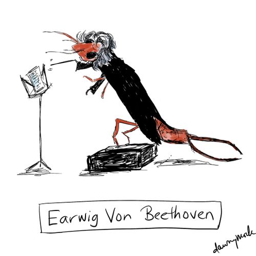 Earwig Von Beethoven