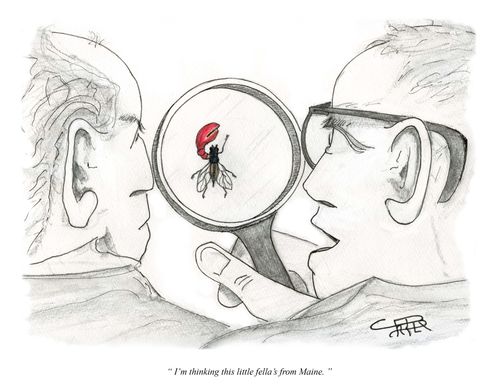 "I'm thinking the little fella's from Maine."