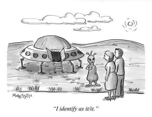 "I identify as it/it."