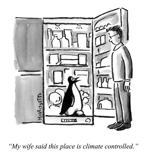 "My wife said this place is climate controlled."