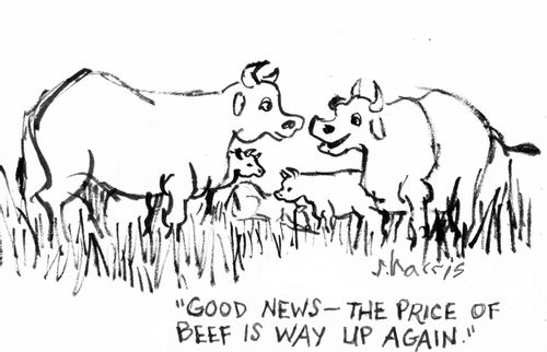 "Good news - the price of beef is way up again."