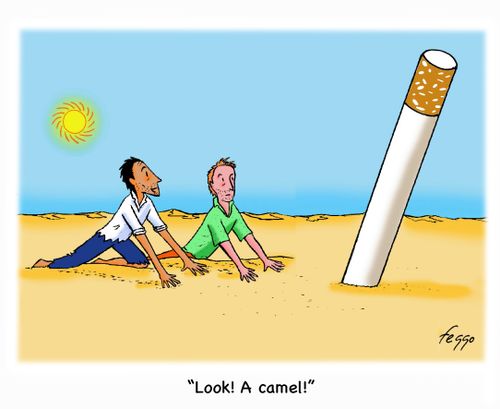 "Look! A camel!"