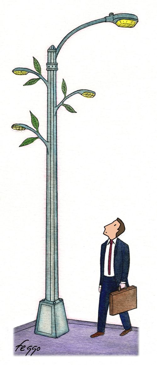 Lamp-Post Flower