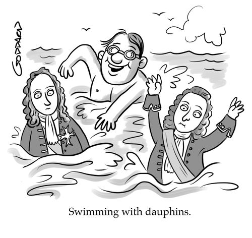Swimming with dauphins