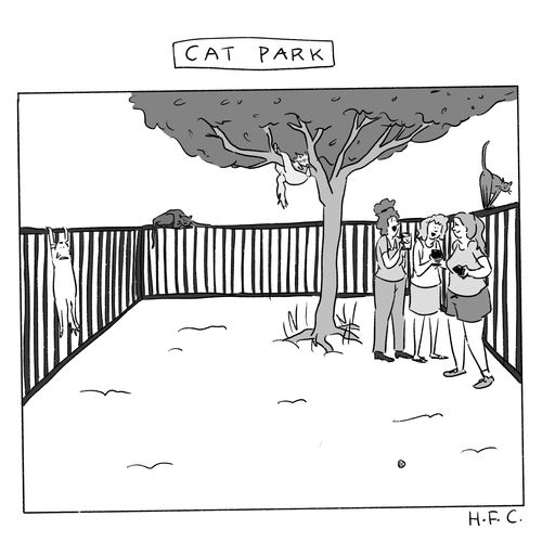 Cat Park