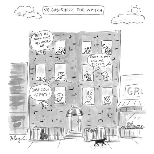 Neighborhood Dog Watch