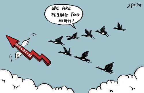 "We are flying too high!"