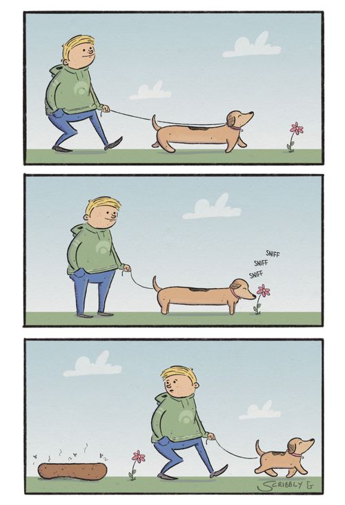 A sausage dog shrinking after toileting