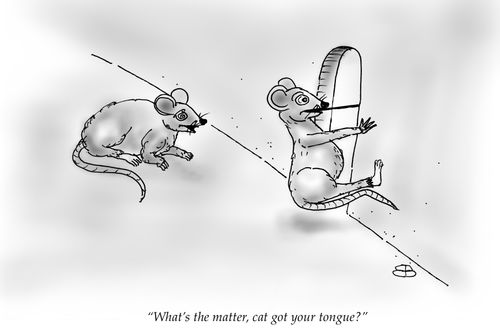 "What's the matter, cat got your tongue?"