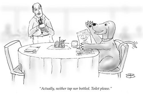 "Actually, neighter tap or bottled. Toilet please."