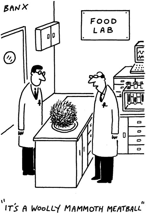 "It's a woolly mammoth meatball."