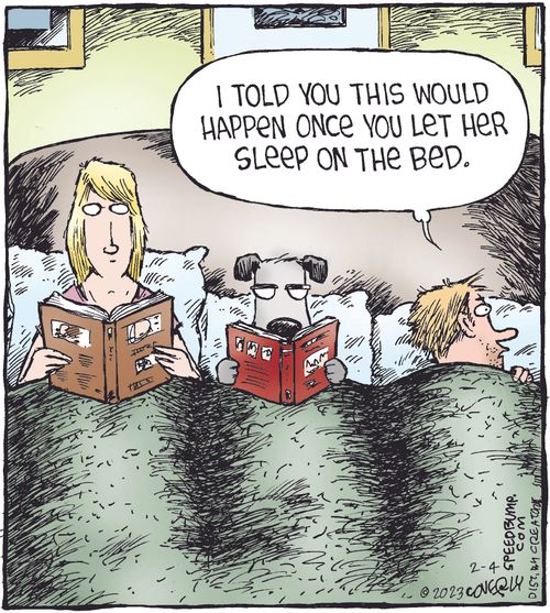"I told you this would happen once you let her sleep on the bed."