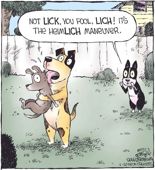 "Not Lick, you fool, lich! It's the heimlich maneuver."