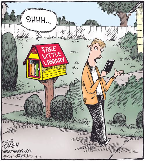 Free Little Library
