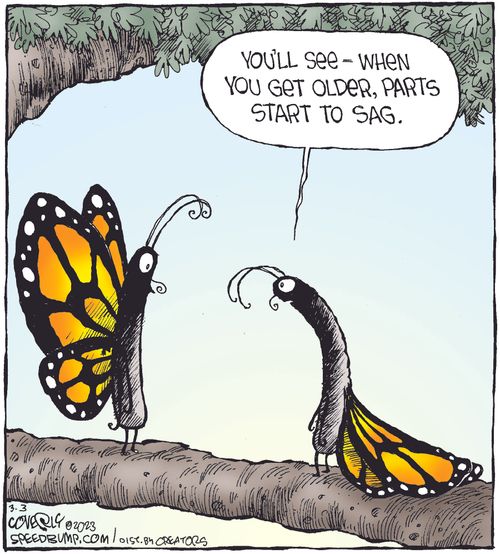 "You'll see - when you get older, parts start to sag."