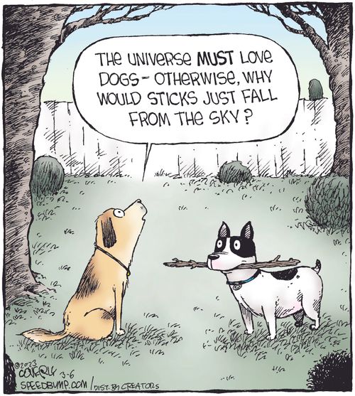 "The universe must love dogs - otherwise, why would sticks just fall from the sky?"