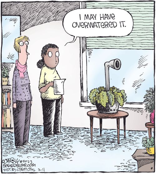"I may have overwatered it."
