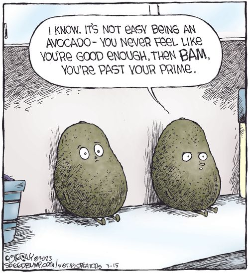 "I know, it's not easy being an avocado - you never feel like you're good enough, then BAM, you're past your prime."