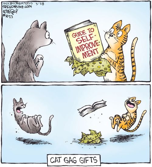 Cat Gag Gifts