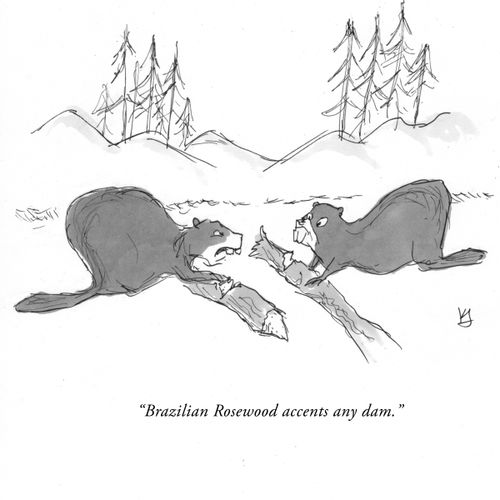 "Brazilian Rosewood accents any dam."