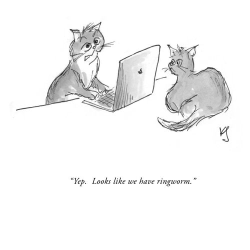 "Yep. Looks like we have ringworm."