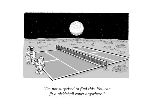 "i'm not surprised to find this. You can fit a pickleball court anywhere."