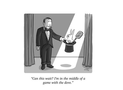 "Can this wait? I'm in the middle of a game with the dove."