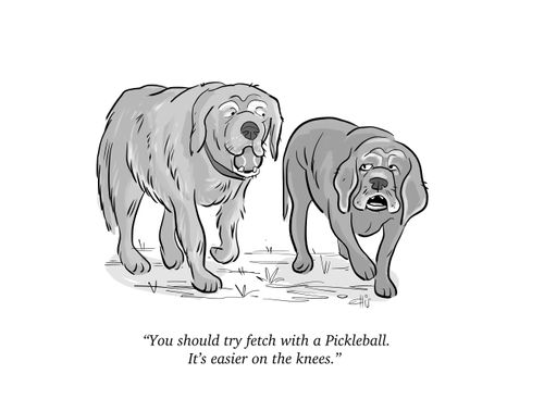 "You should try fetch with a Pickleball. It's easier on the knees."