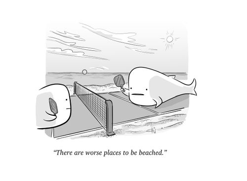 "There are worse places to be beached."
