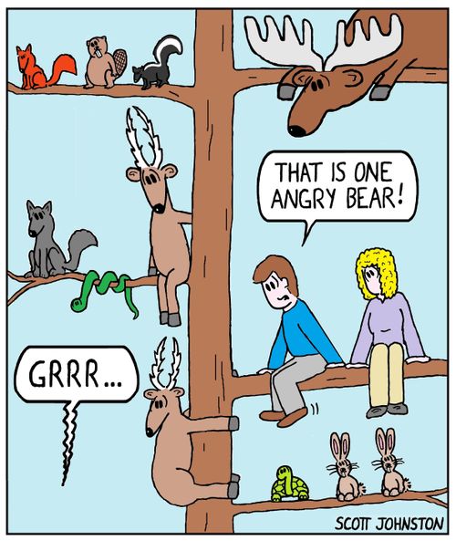 "That is one angry bear!"