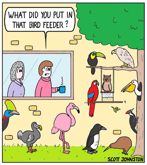 "What did you put in that bird feeder?"