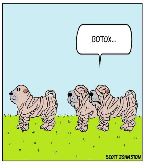Botox sharpei
