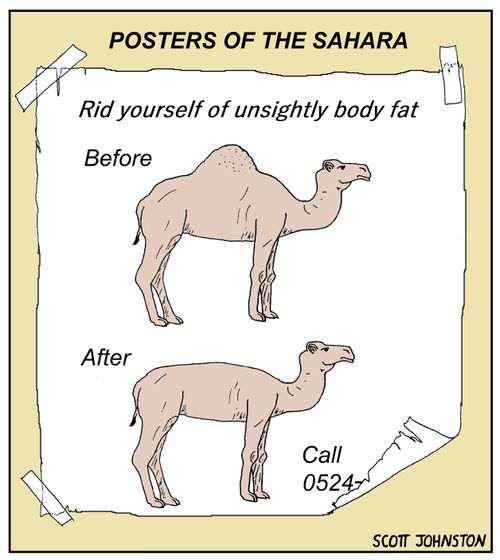 Posters of the Sahara