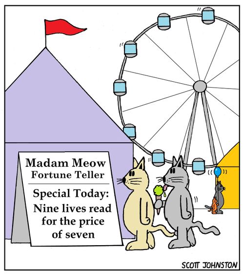 Madam Meow - Nine Lives read for the price of seven.