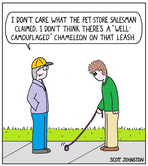 "I don't care what the pet store salesman claimed. I don't think there's a 'well-camouflaged' chameleon on that leash."
