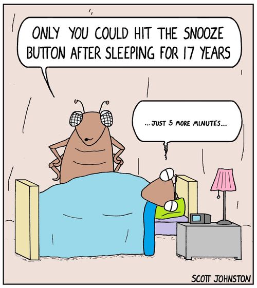 "Only you could hit the snooze button after sleeping for 17 years."
