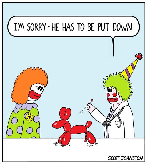 "I'm sorry - he has to be put down."