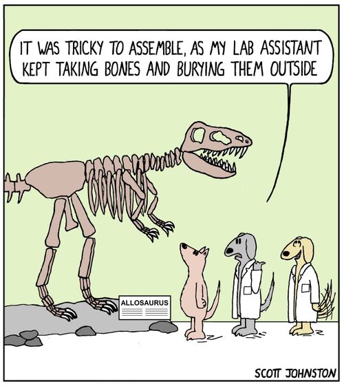 "It was trick to assemble, as my lab assistant kept taking bones and burying them outside."