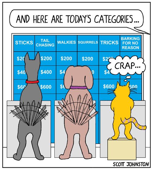 "And here are today's categories...."