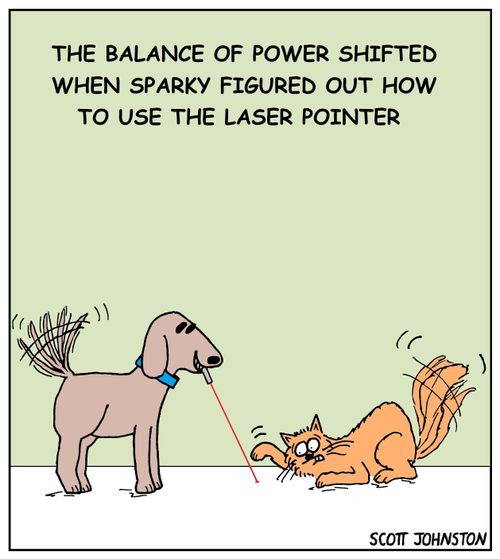 The balance of power shifted when sparky figured out how to use the laser pointer.