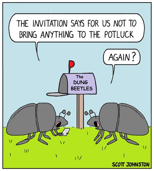 "The invitation says for us not to bring anything to the potluck."