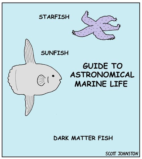 Guide to astronomical marine life.