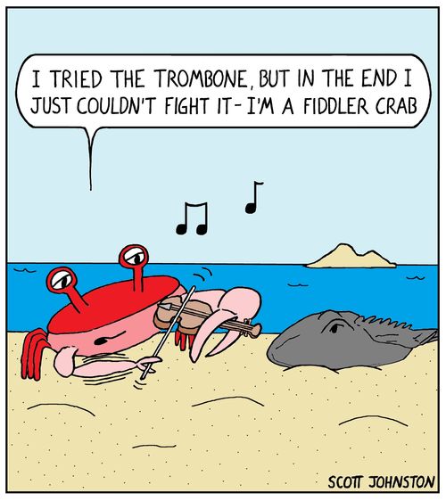 "I tried the trombone, but in the end I just couldn't fight it - I'm a fiddler crab."