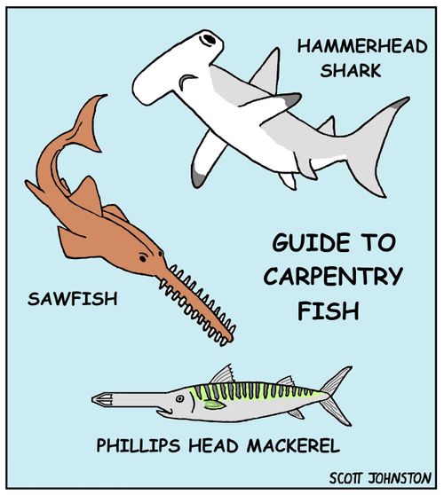 Guide to Carpentry Fish