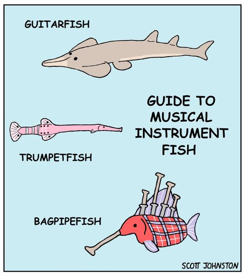Guide to Musical Instrument Fish