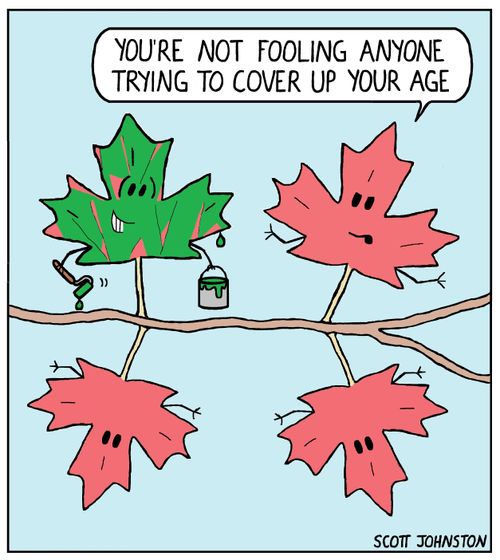 "You're not fooling anyone trying to cover up your age."